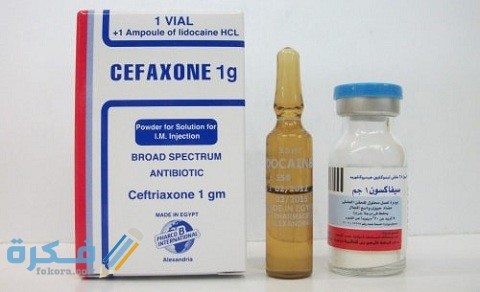 دواعي الاستعمال والآثار الجانبية والسعر | سيفاكسون CEFAXON 1 سيفاكسون CEFAXON