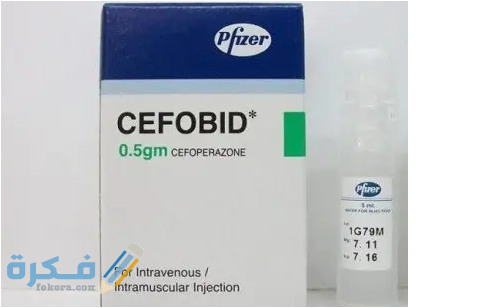 دواعي الاستعمال والآثار الجانبية والسعر | سيفوبيد Cefobid 1 سيفوبيد (Cefobid)