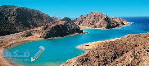 كم عدد المحميات الطبيعية في مصر واسمائها 1 كم عدد المحميات الطبيعية في مصر