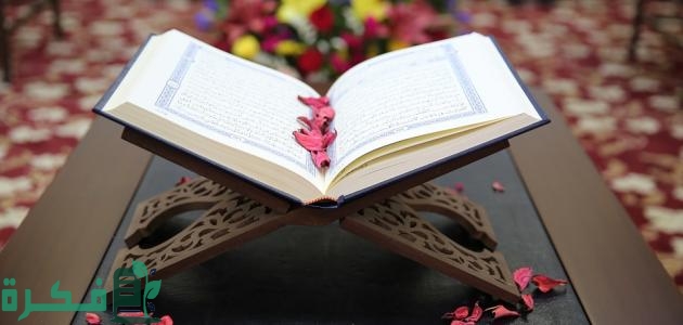 احسن شرح خطوات مراجعة القرآن الكريم بعد الحفظ 1 برنامج مراجعه القران الكريم كاملا