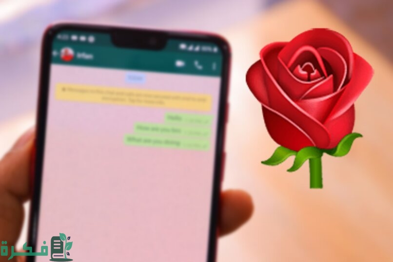 ما معنى الوردة الحمراء في الواتس اب 1 معنى الوردة الحمراء في الواتس اب
