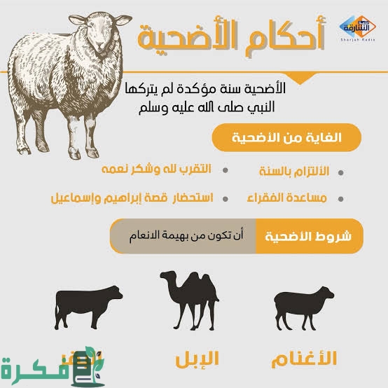 هل يجوز للأب أن يضحي عن ابنه المتزوج 1 images 2022 07 02T005927.212