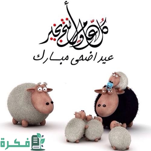 "تهنئة الاحباب والاقارب".. رسائل تهنئة عيد الأضحى المبارك 2025 رسائل العيد الاضحى للتهنئة جديدة 1446 1 images 2022 07 02T083054.672