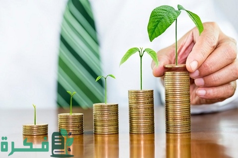 فنون استراتيجية إدارة رأس المال 1 تعلم استراتيجية إدارة رأس المال