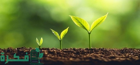 ما هي التغذية الذاتية 1 ما هي التغذية الذاتية
