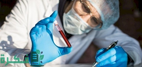 ما هي وظيفة الخلايا الشبكية 1 ما هي وظيفة الخلايا الشبكية