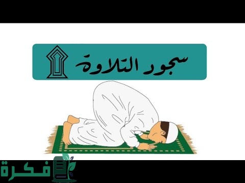 ما هو حكم سجود التلاوة وهل هي واجبة 1 عدد سجدات التلاوة في القرأن