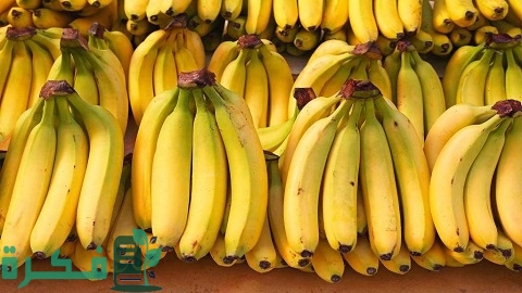 قائمة اسماء أكثر 10 دول عربية إنتاجًا للموز 1 أكثر 10 دول عربية إنتاجًا للموز