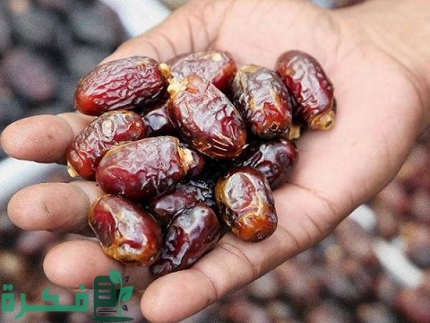 تجربتي في بيع التمر 1 تجربتي في بيع التمر