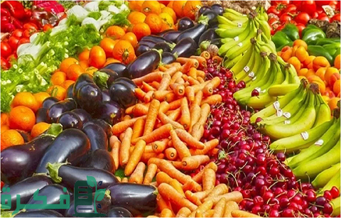 خطوات تصدير الخضار والفاكهة للخارج 1 كيفية تصدير الخضار والفاكهة للخارج