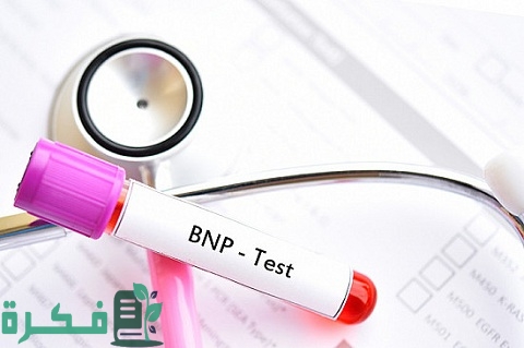 ما هو تحليل BNP 1 ما هو تحليل BNP