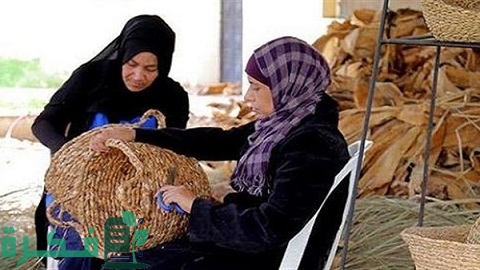 افكار مشروعات متناهية الصغر لمحدودي الدخل 1 مشروعات متناهية الصغر لمحدودي الدخل