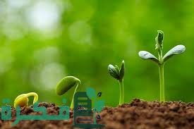أماكن منافذ بيع شتلات وزارة الزراعة 1 0FAA51E3 D3E4 4E32 86BA CC0D1E389C9E