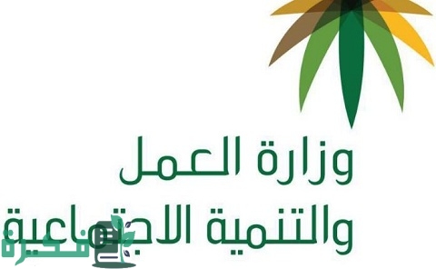 معلومات عن وظائف وزارة القوى العاملة بالخليج 1 وظائف وزارة القوى العاملة بالخليج براتب يصل إلى 8 آلاف جنيه مصري