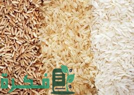 احسن أنواع الارز المصري 1 A94A75AC E5BB 49CC 9291 01F85AA3440B