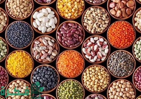دراسة جدوى مشروع تعبئة وتغليف الحبوب التكلفة بالكامل 1 دراسة جدوى مشروع تعبئة وتغليف الحبوب