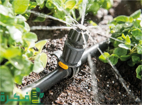 شرح خطوات إنقاذ وإنعاش النباتات الضعيفة والتالفة 1 طريقة إنقاذ وإنعاش النباتات الضعيفة والتالفة