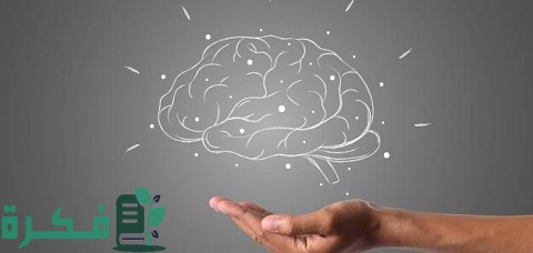 استراتيجية العصف الذهني تكوين خطة عمل إبداعية 1 استراتيجية العصف الذهني لتكوين خطة عمل إبداعية