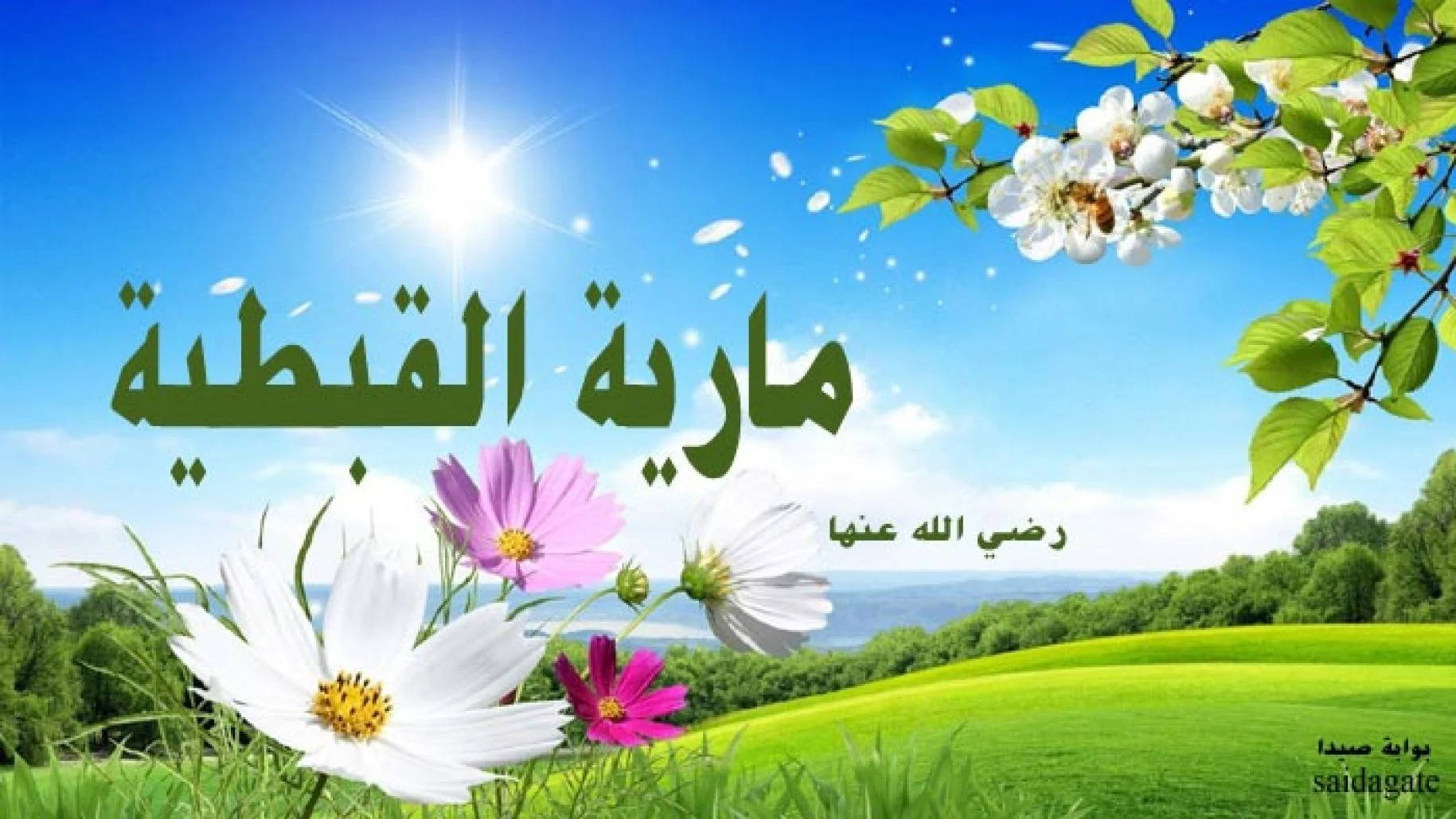 هل السيدة مارية القبطية إحدى زوجات الرسول 1 سرايا النبي صلي الله عليه وسلم