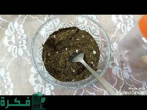 هل يمكن علاج النزلة المعوية للأطفال بالليمون الأسود 1 Nv8hjyOsNtI