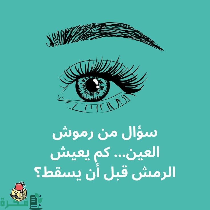 300+ أسئلة علمية مع اجوبتها 2025 1 f21be768feefb1d535e678ccec38c6b3
