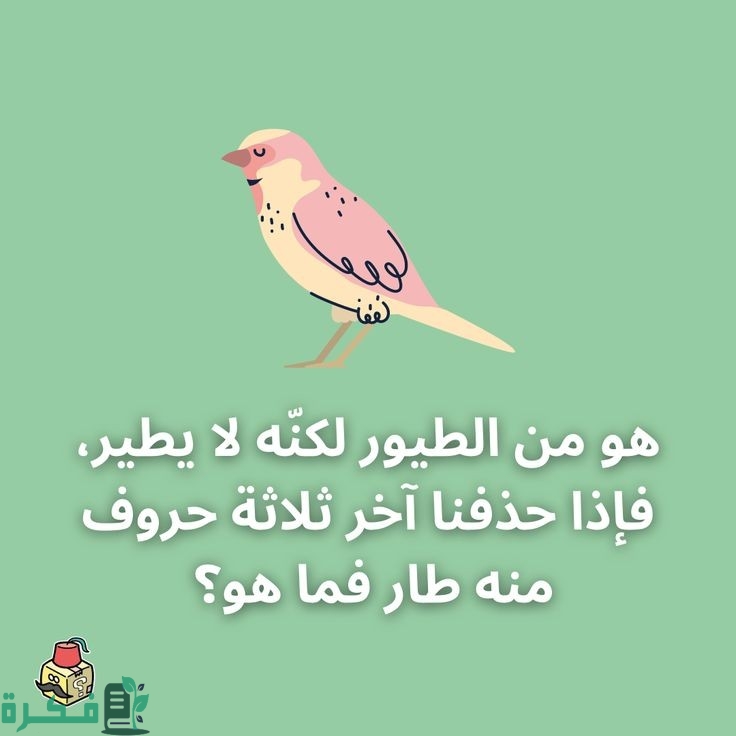 أسئلة للأطفال الصغار 7 سنوات 1 f8b75eb69916a1fa7ec57e9cf227b34f