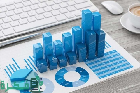 دراسة جدوى جاهزة excel قابلة للتعديل 1 دراسة جدوى جاهزة excel قابلة للتعديل