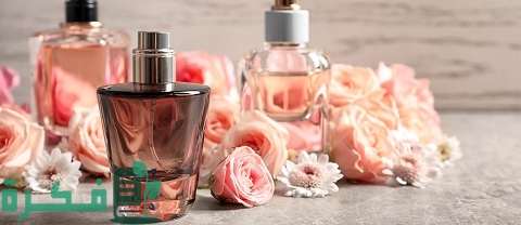 دراسة جدوى مشروع محل عطور وبخور التكلفة بالكامل 1 دراسة جدوى مشروع محل عطور وبخور