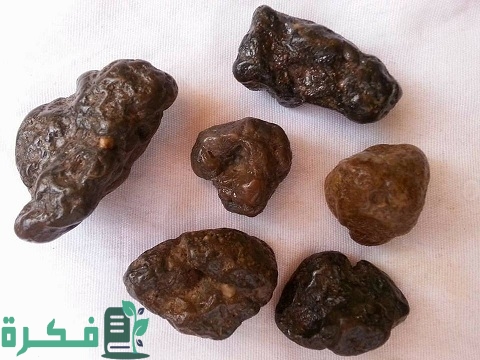 ما هي فائدة حجر الهبهاب 1 ما هي فائدة حجر الهبهاب