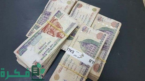 مشاريع برأس مال 100 ألف جنية.. 10 أفكار مضمونة 2025 1 مشروع برأس مال 100 ألف جنيه وبعض الأفكار الناجحة