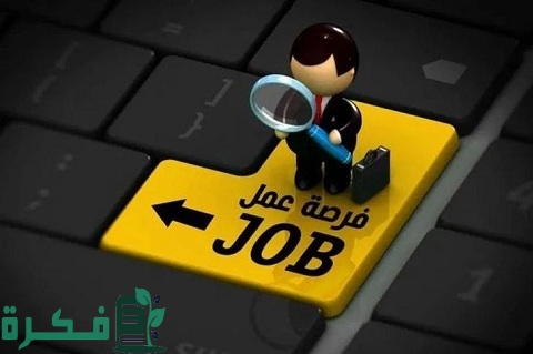 وظائف في شركة امازون وجوميا لمختلف التخصصات 1 وظائف سوق كوم وجوميا لمختلف التخصصات