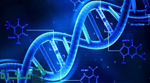 بحث عن الأمراض الوراثية 1 بحث عن الأمراض الوراثية