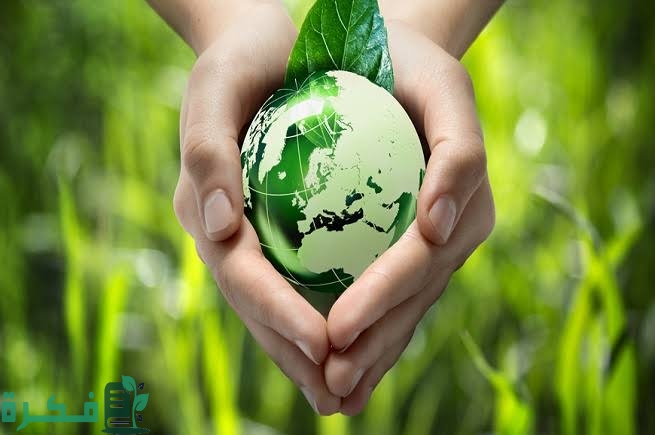اذاعة مدرسية عن التغيرات المناخية كاملة مع مقدمة وخاتمة 1 images 2022 11 06T230914.879