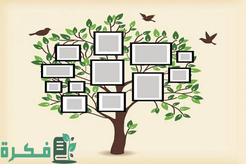 شرح استراتيجية شجرة الذاكرة فارغة 1 استراتيجية شجرة الذاكرة فارغة