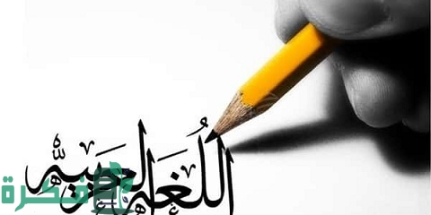 الفرق بين واو المعية وواو الحال بالأمثلة 1 الفرق بين واو المعية وواو الحال بالأمثلة