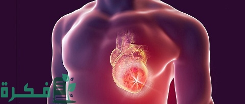 بحث عن العضلات القلبية كامل 1 بحث عن العضلات القلبية