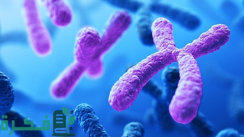 ما هي الوراثة المعقدة والوراثة البشرية 1 ماهي الوراثة المعقدة والوراثة البشرية