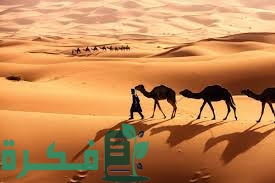الكناني وش يرجع ما هو اصل قبيلة الكناني 1 1ED5507A CAE2 4C92 9C10 672EA04D4169