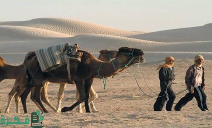 قبيلة القثامي وش يرجعون ما هو أصل قبيلة القثامي 1 5D6F48B3 C142 4270 8D41 BD3112E24954