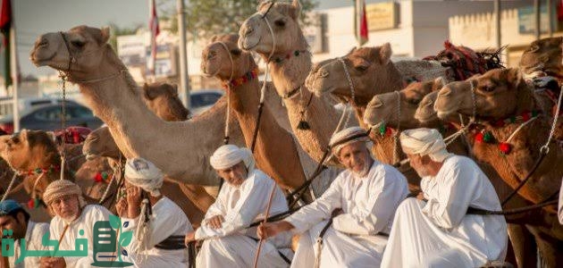 أين تسكن قبيلة هذيل 1 5D7726FC DC28 413E 92F4 1DB0B93BDB93