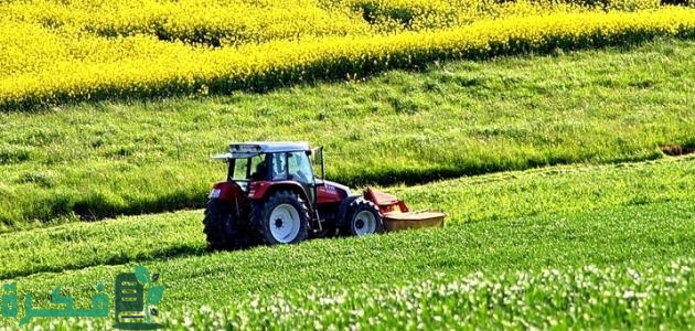 احسن طرق الزراعة القديمة والحديثة 1 طرق الزراعة القديمة والحديثة