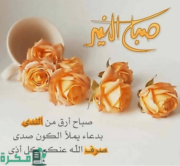 الرد على كلمة بونجور bonjour بجميع اللغات 1 632E1014 2ABD 4681 8079 CD2C2AE42618