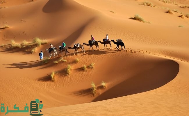 اسماء أكبر قبائل قطر بالترتيب 1 C374AC35 A9AA 4098 BA33 EAE888E5BE76