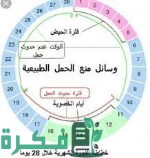 متى تكون أيام التبويض لدورة 28 يوم 1 download 6