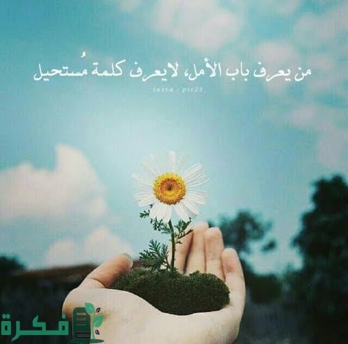 340+ عبارات جميلة وهادفة قوية مقصودة مكتوبة 1 images 2023 01 23T184312.207