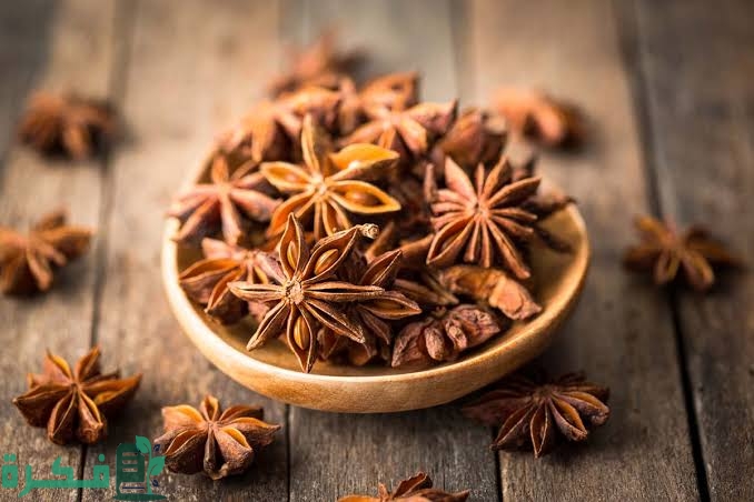 تجربتي مع اليانسون لتكبير المؤخرة 1 images 2023 01 23T205354.648