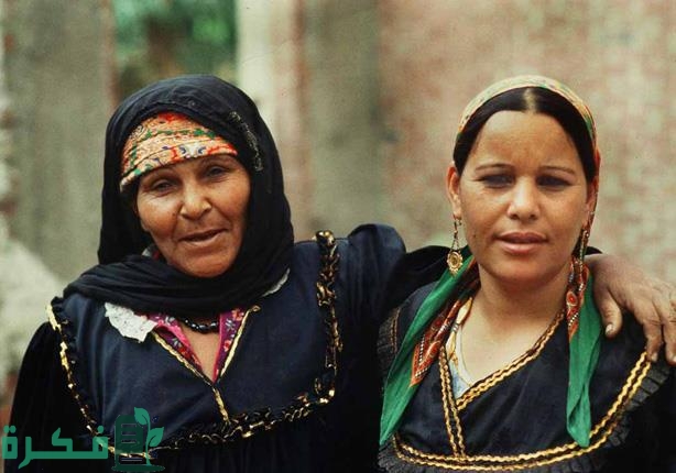 من هي هدى شعراوي 1 السيدة المصرية التي مثلت المرأة المصرية في المؤتمر الدولي الذي عقد في بروكسيل