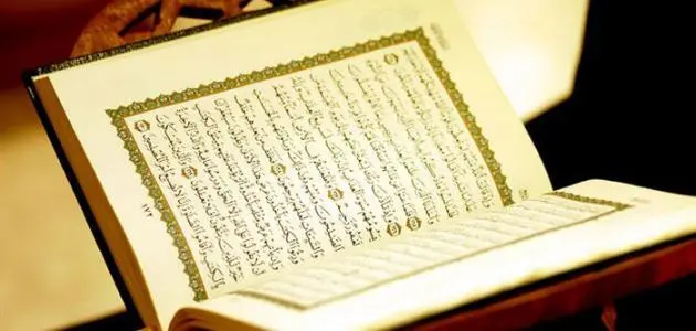 ما هي احسن سورة لاستجابة الدعاء 1 أفضل سورة لاستجابة الدعاء