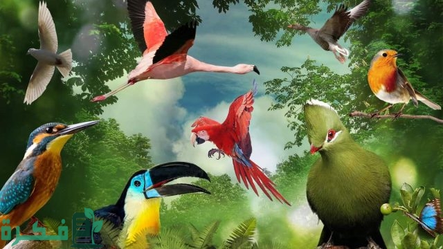 بحث عن التنوع الحيوي والمحافظة عليه 1 بحث عن التنوع الحيوي والمحافظة عليه