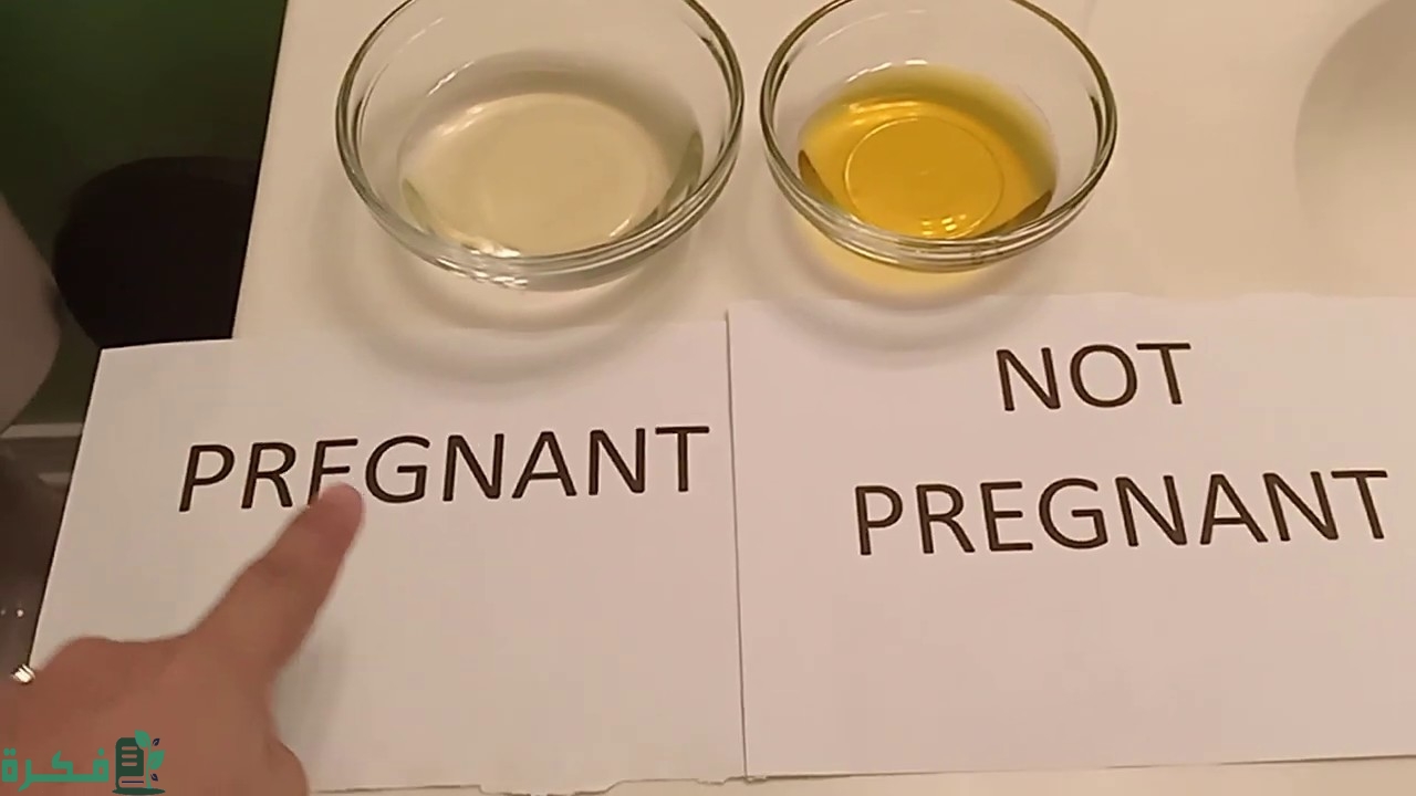 تجربتي مع تحليل الحمل بالكلور 1 تجربتي مع تحليل الحمل بالكلور
